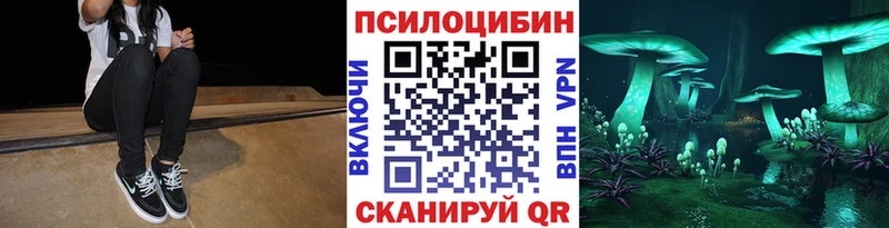 Купить где  Горячий Ключ  Галлюциногенные грибы GOLDEN TEACHER 